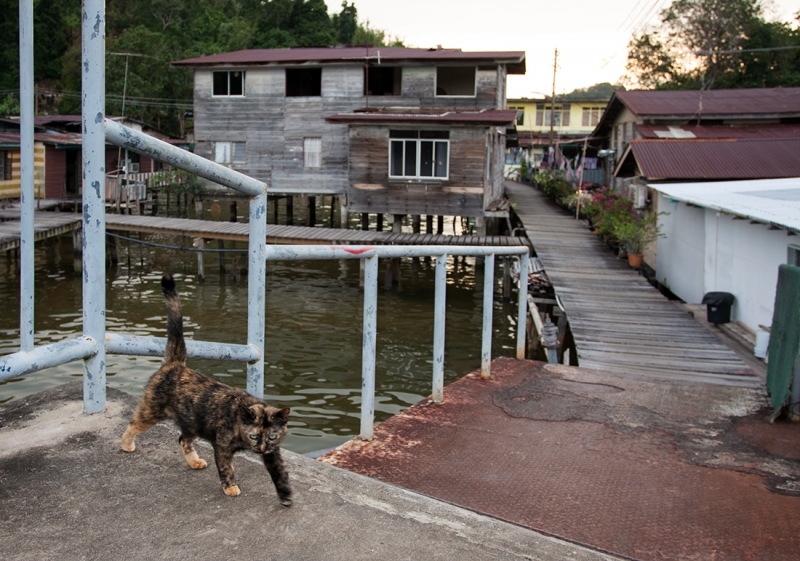 Дороги, тропы: куда они нас ведут - тут фотоответ
