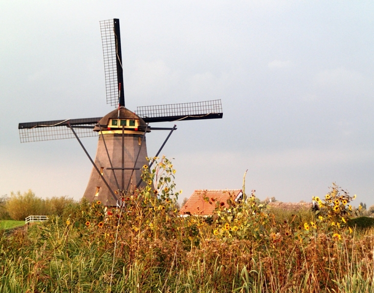 Европейская прелюдия осени в обнимку с фотоаппаратом!