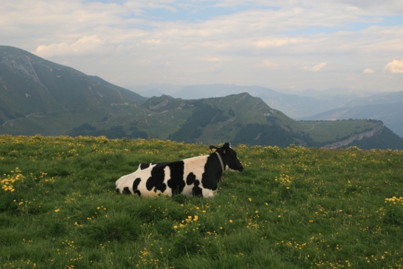 На машине с тремя детьми в кемпингах. Италия, Австрия, Чехия