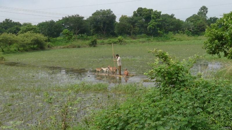 Клеенка из Бангладеш или кристально чистый Бангладеш (Сентябрь 2014 года)