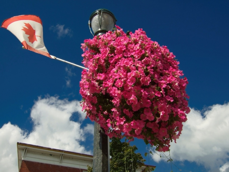 сша путешествие