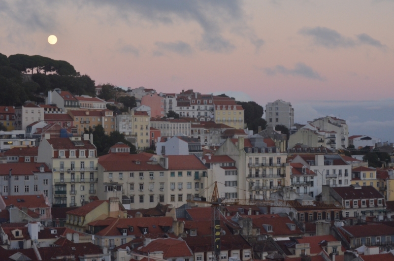 Португалия в октябре 2014: Лиссабон + Мадейра