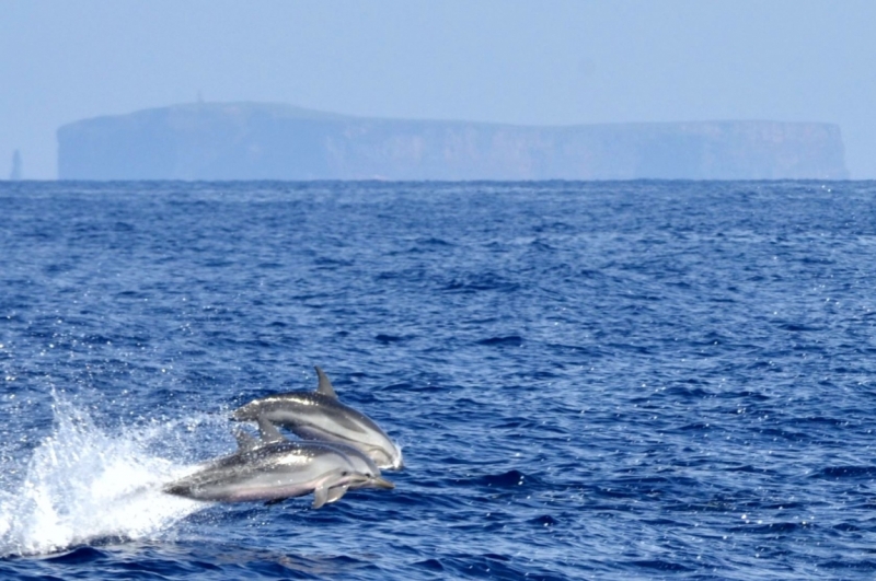 Португалия в октябре 2014: Лиссабон + Мадейра