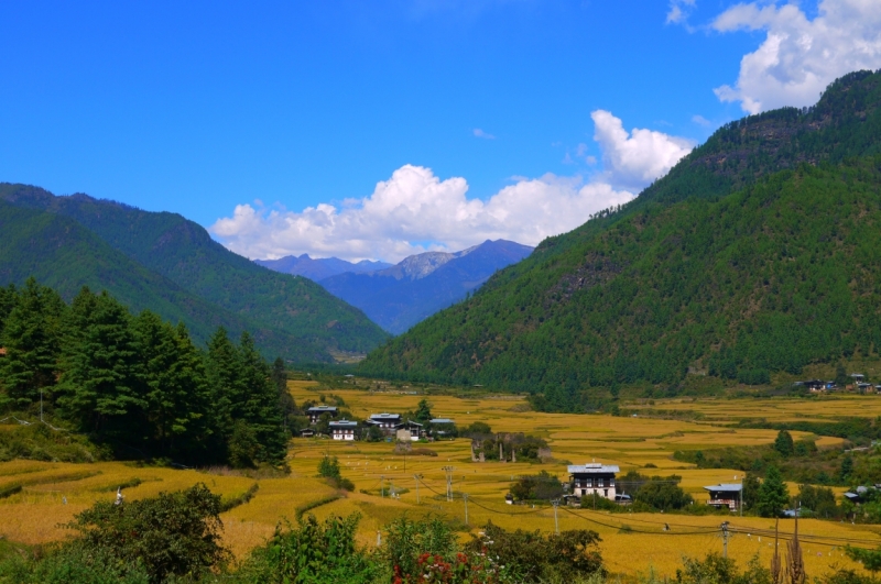 Непал - Дели октябрь 2014 черный фото отчет. Цечу. Красочный Бутан.