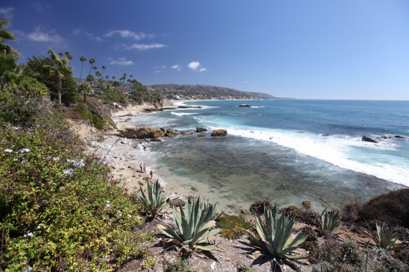 Америка. Записки и зарисовки.