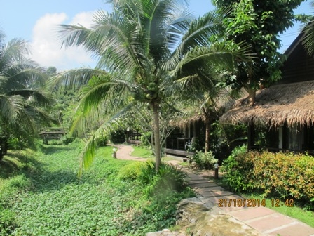 Nana Beach Hotel - 1 - 1