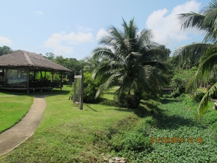 Nana Beach Hotel - 1 - 1