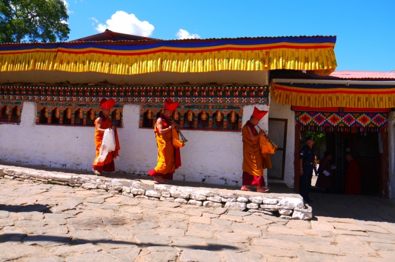 Непал - Дели октябрь 2014 черный фото отчет. Цечу. Красочный Бутан.