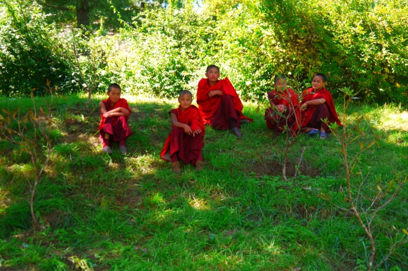 Непал - Дели октябрь 2014 черный фото отчет. Цечу. Красочный Бутан.