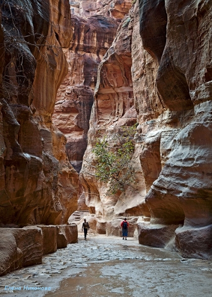 Иорданские восхищения и разочарования