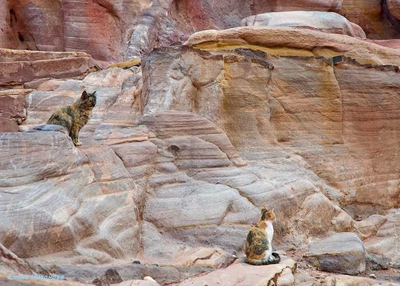 Иорданские восхищения и разочарования