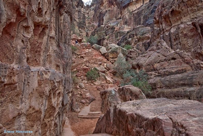 Иорданские восхищения и разочарования