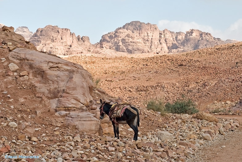 Иорданские восхищения и разочарования