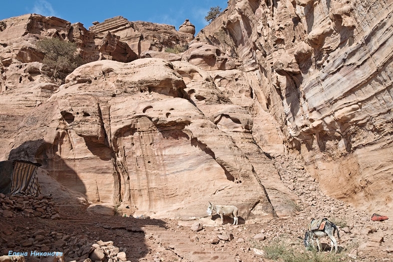 Иорданские восхищения и разочарования