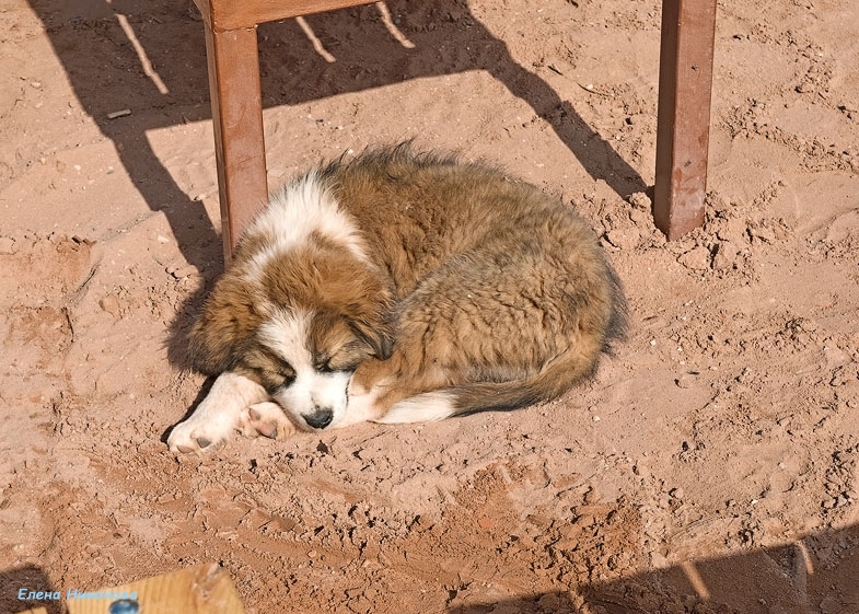 Иорданские восхищения и разочарования