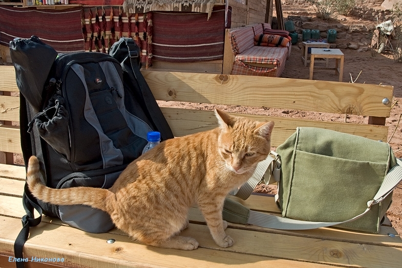 Иорданские восхищения и разочарования