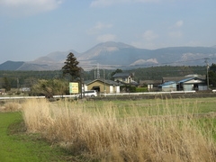 Япония, весна 2008 год (осторожно - много фото!). Завершен.
