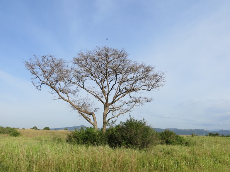 Уганда 22.04 - 5.05.2014