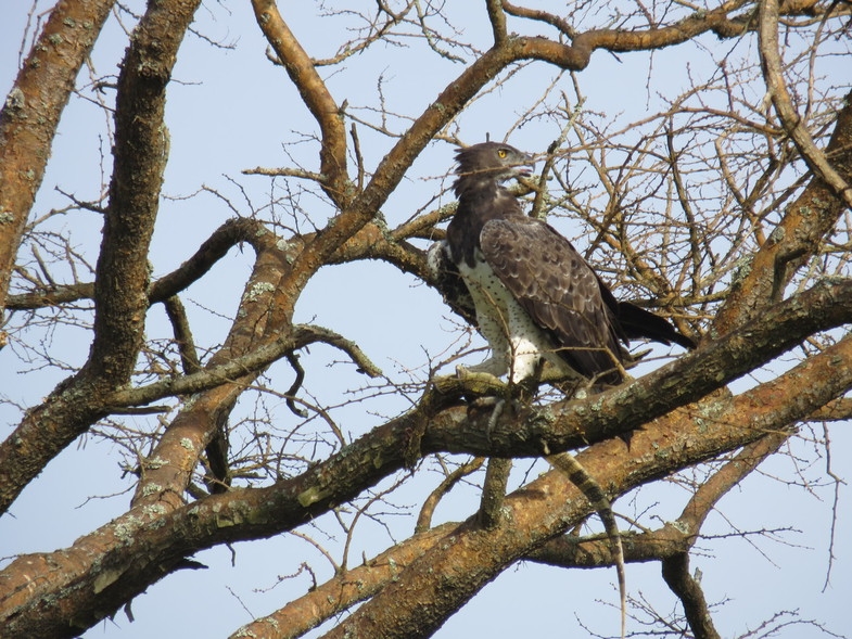 Уганда 22.04 - 5.05.2014