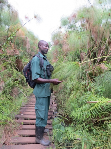Уганда 22.04 - 5.05.2014