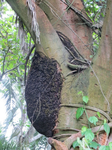 Уганда 22.04 - 5.05.2014