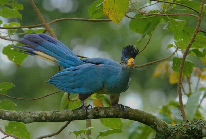 Уганда 22.04 - 5.05.2014