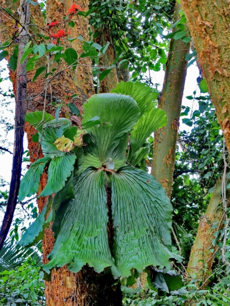 Уганда 22.04 - 5.05.2014