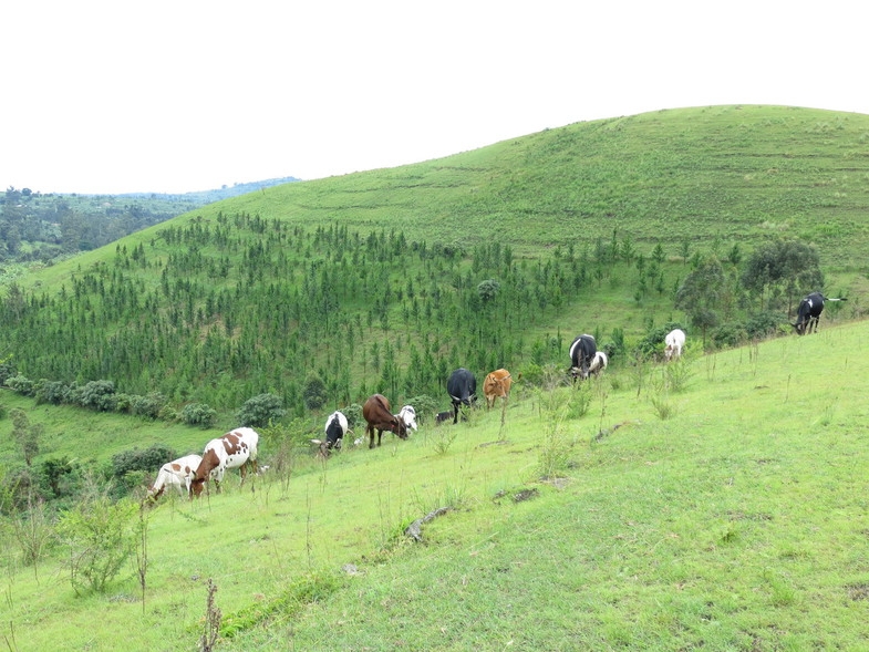 Уганда 22.04 - 5.05.2014