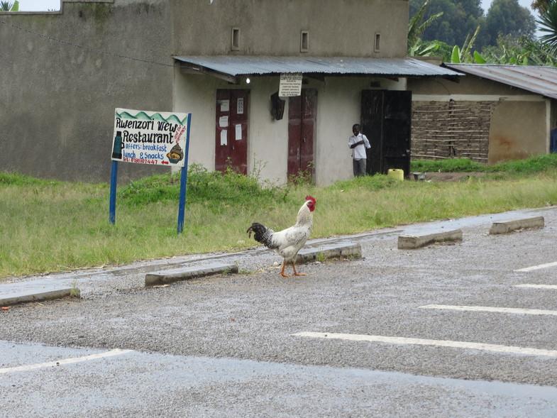 Уганда 22.04 - 5.05.2014