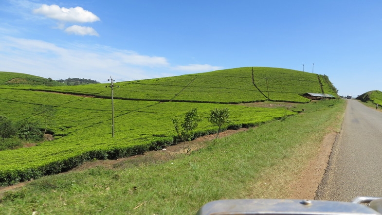 Уганда 22.04 - 5.05.2014