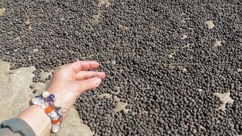 Уганда 22.04 - 5.05.2014