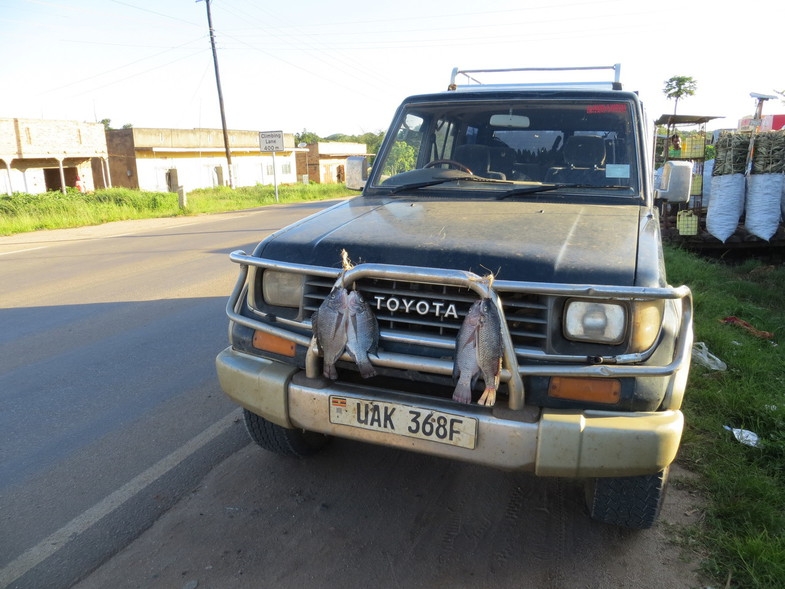 Уганда 22.04 - 5.05.2014