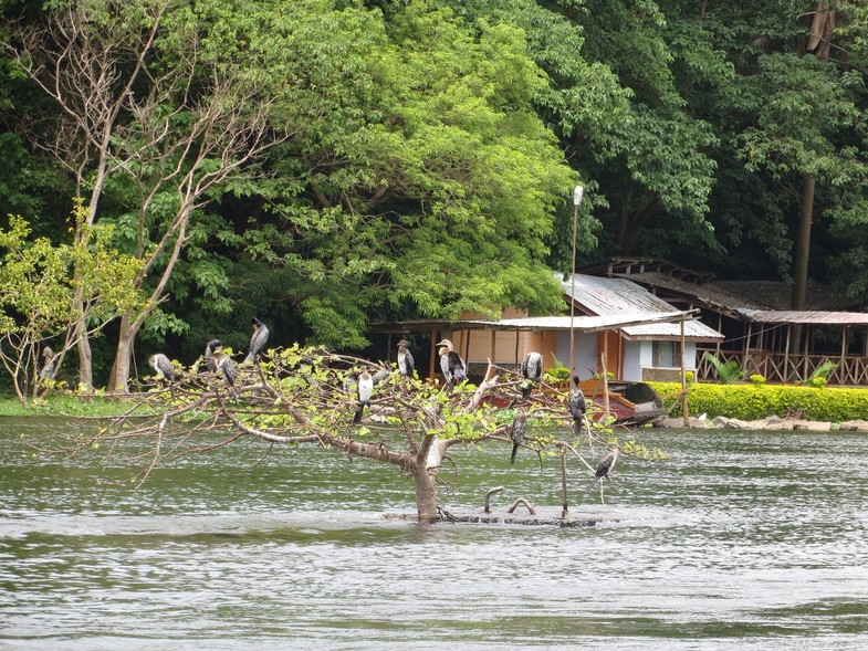 Уганда 22.04 - 5.05.2014