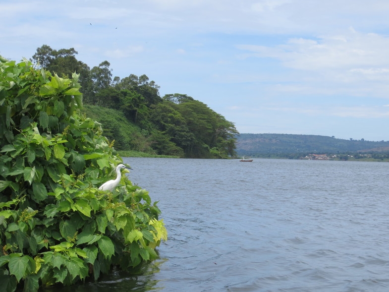 Уганда 22.04 - 5.05.2014