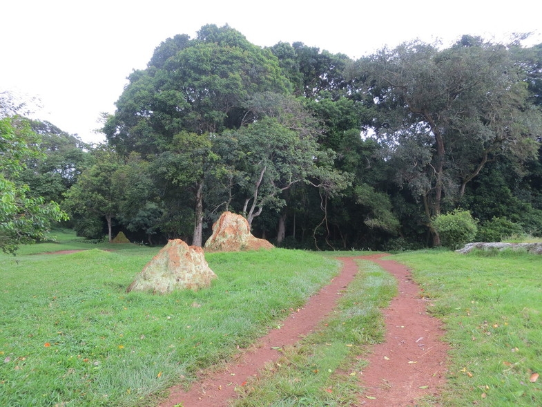 Уганда 22.04 - 5.05.2014