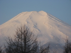 Япония, весна 2008 год (осторожно - много фото!). Завершен.