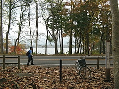 Япония, октябрь 2008. На север за красными листьями кленов. (Трафик!)