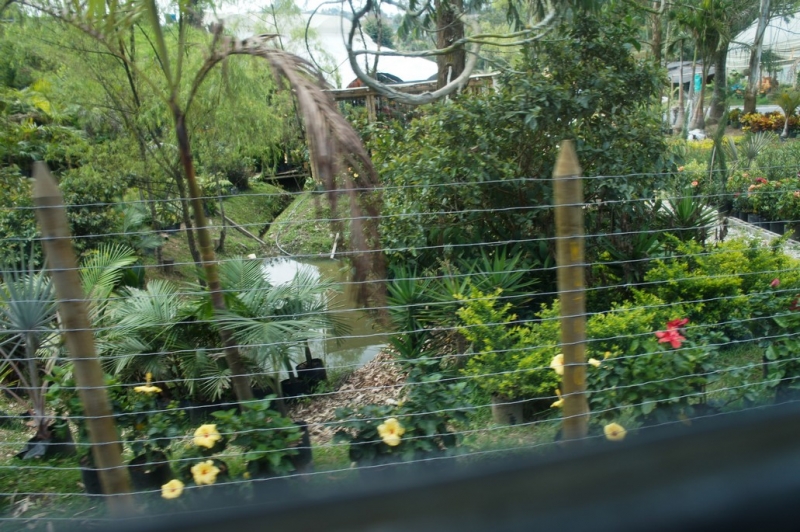 Колумбия в январе 2014