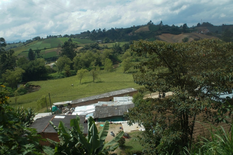 Колумбия в январе 2014