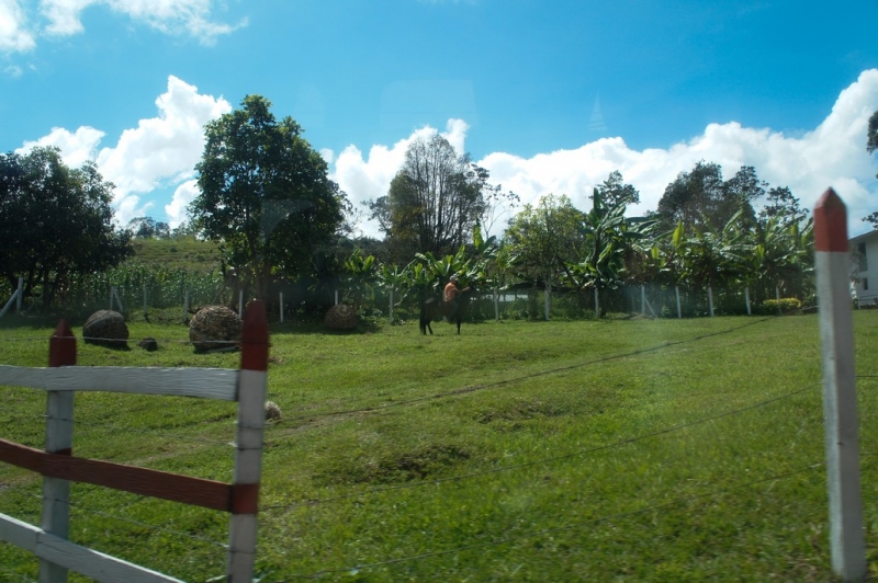 Колумбия в январе 2014