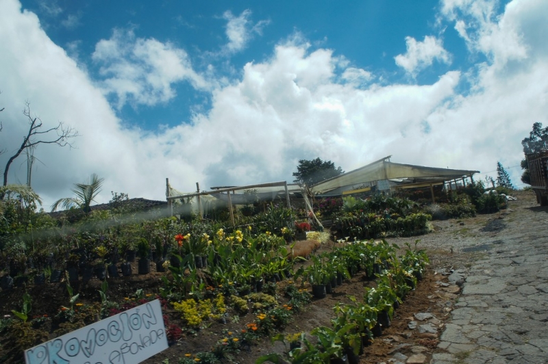 Колумбия в январе 2014