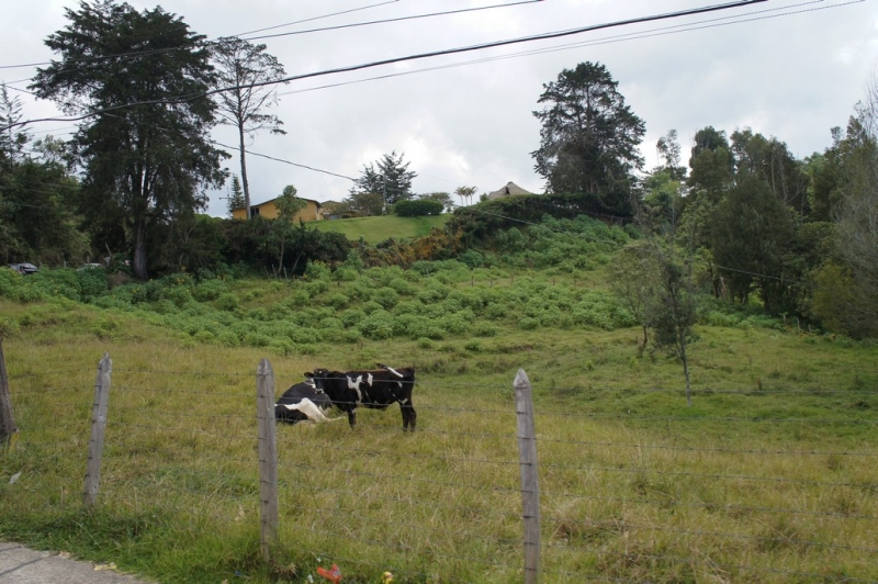 Колумбия в январе 2014