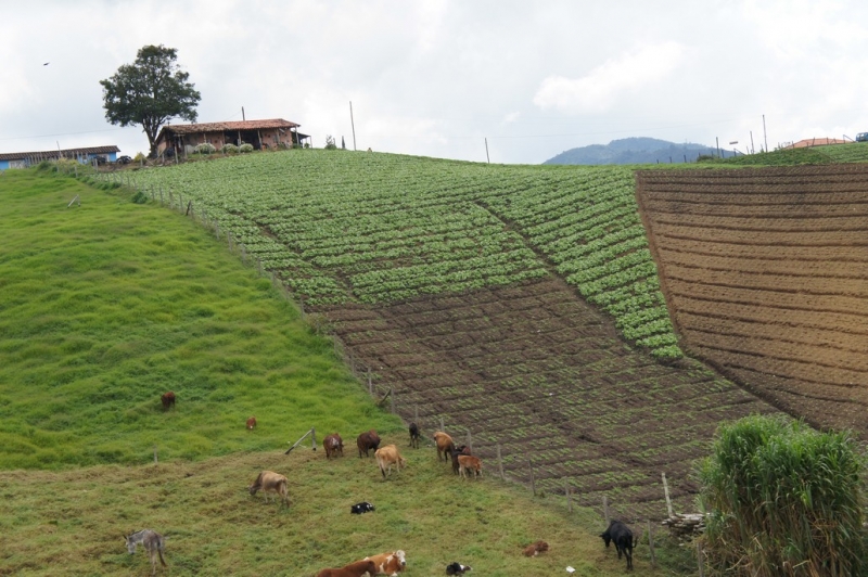Колумбия в январе 2014