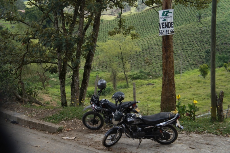 Колумбия в январе 2014