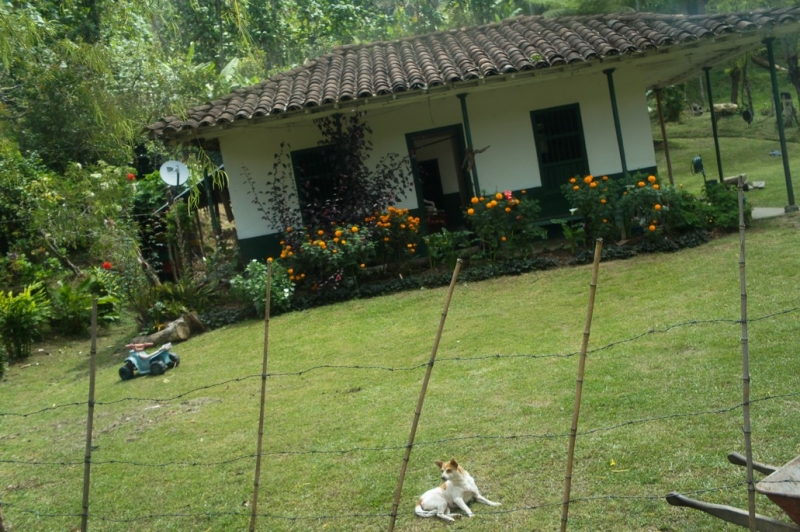 Колумбия в январе 2014