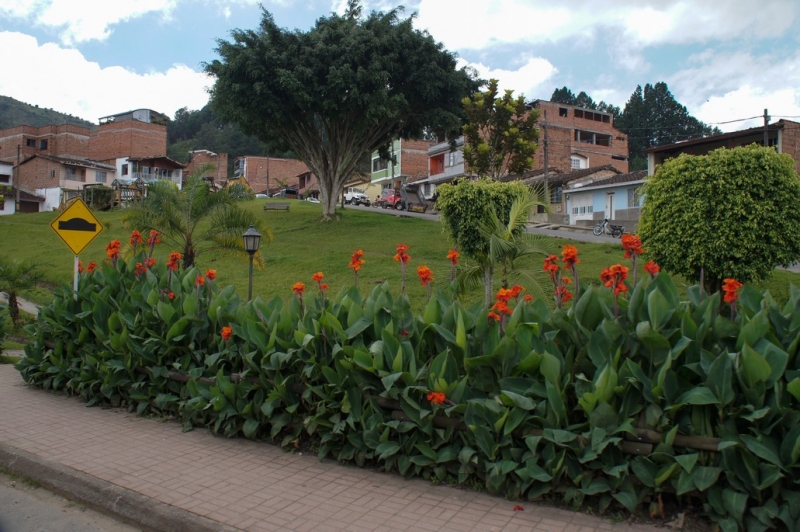 Колумбия в январе 2014