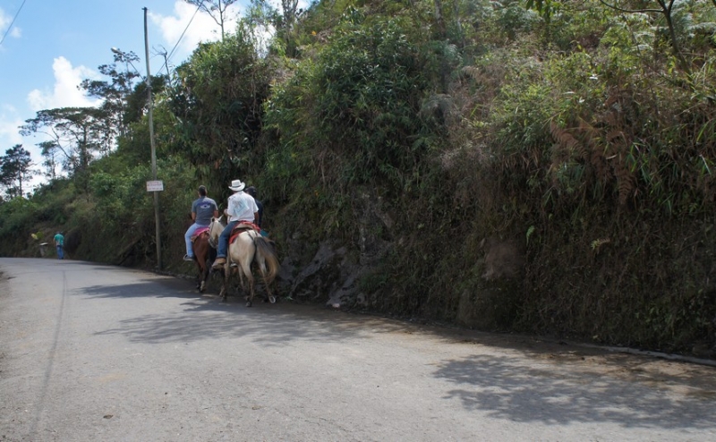 Колумбия в январе 2014