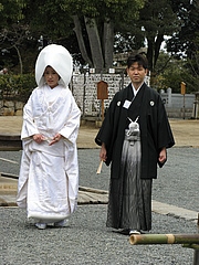 Япония, ранняя весна 2009. Уме. (Осторожно, много фото!).