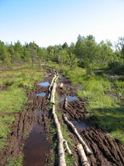 Соловецкие острова, август 2009, трафик