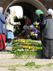 Соловецкие острова, август 2009, трафик